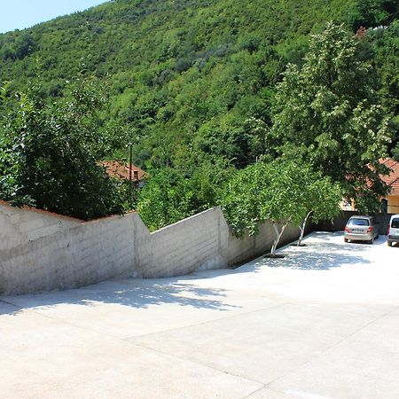 Apartment Bijelavista Herceg Novi Eksteriør billede