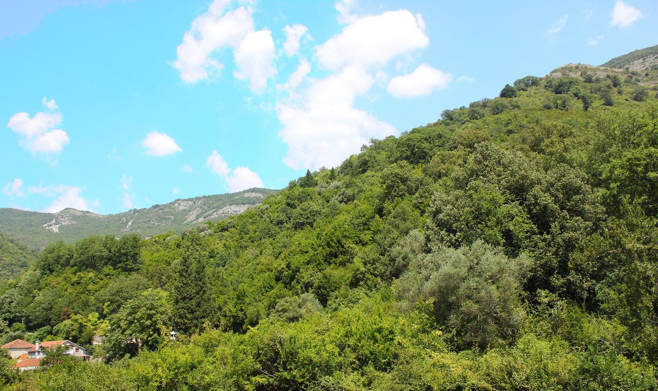 Apartment Bijelavista Herceg Novi Eksteriør billede